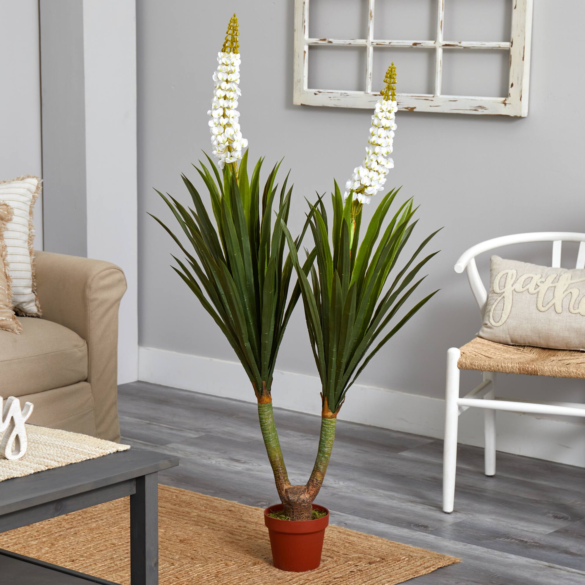 4.7ft. Potted Flowering Yucca Plant